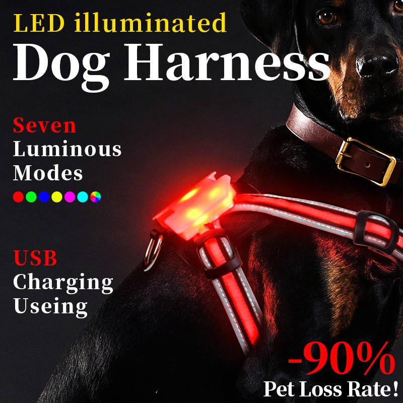 Luminous Strap Charging For Common Dogs Nylon Luminous Explosion-proof Hand Holding Rope | Luxury Home Accessories | Heulog Glow