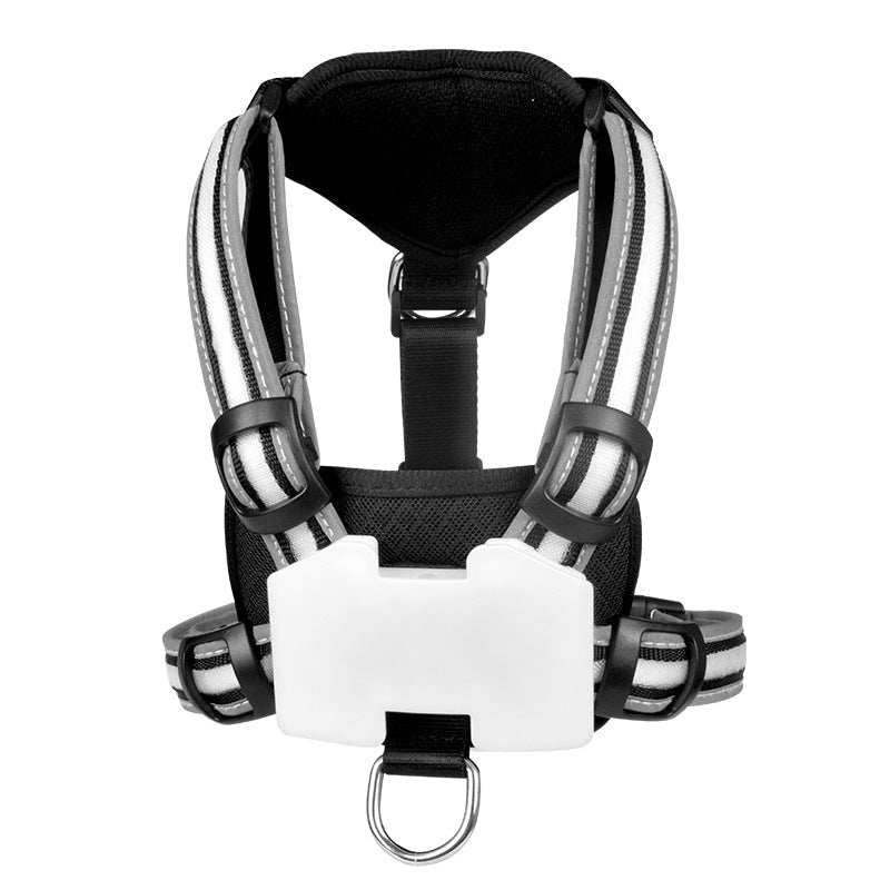 Luminous Strap Charging For Common Dogs Nylon Luminous Explosion-proof Hand Holding Rope | Luxury Home Accessories | Heulog Glow