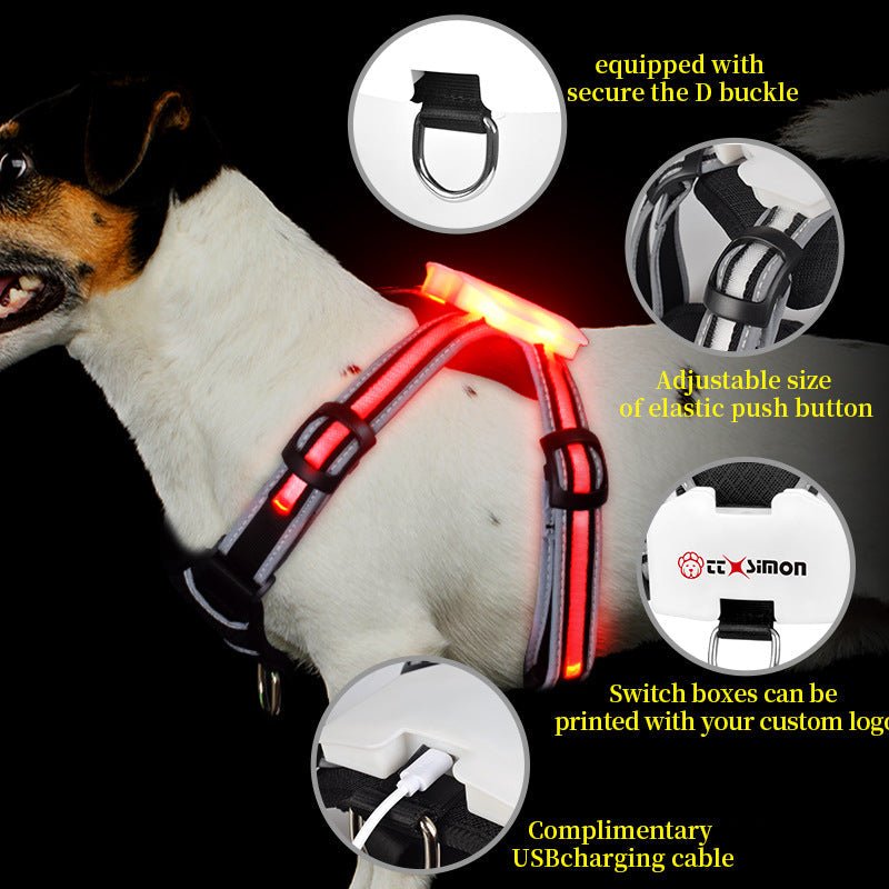 Luminous Strap Charging For Common Dogs Nylon Luminous Explosion-proof Hand Holding Rope | Luxury Home Accessories | Heulog Glow