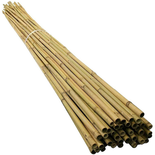 6FT (180cm) Bamboo Cane ONE PIECE