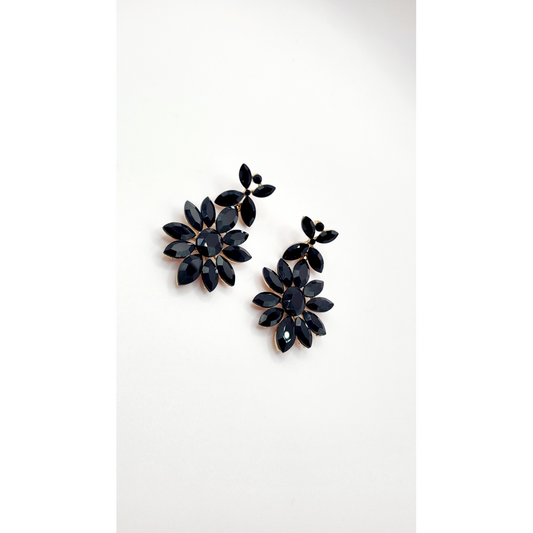 Black Crystal Drop and Dangle Earrings