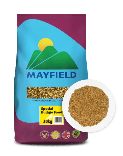 Mayfield Budgie 20kg | Luxury Home Accessories | Heulog Glow