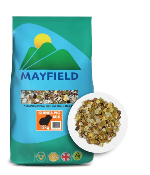 Mayfield Guinea Pig 15kg | Luxury Home Accessories | Heulog Glow