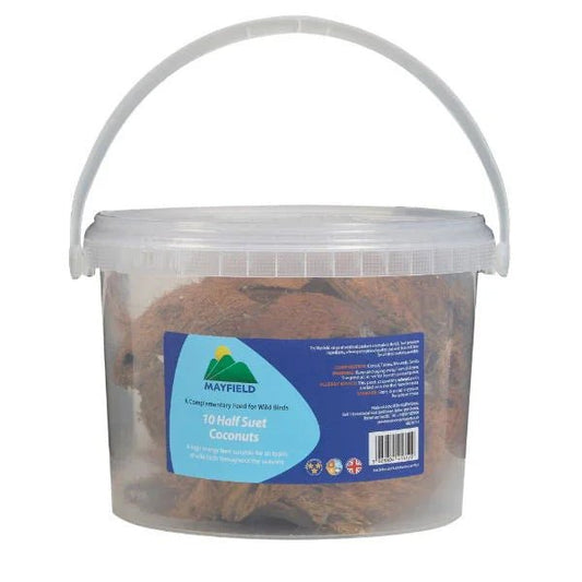 Mayfield Half Suet Coconuts 10's | Luxury Home Accessories | Heulog Glow