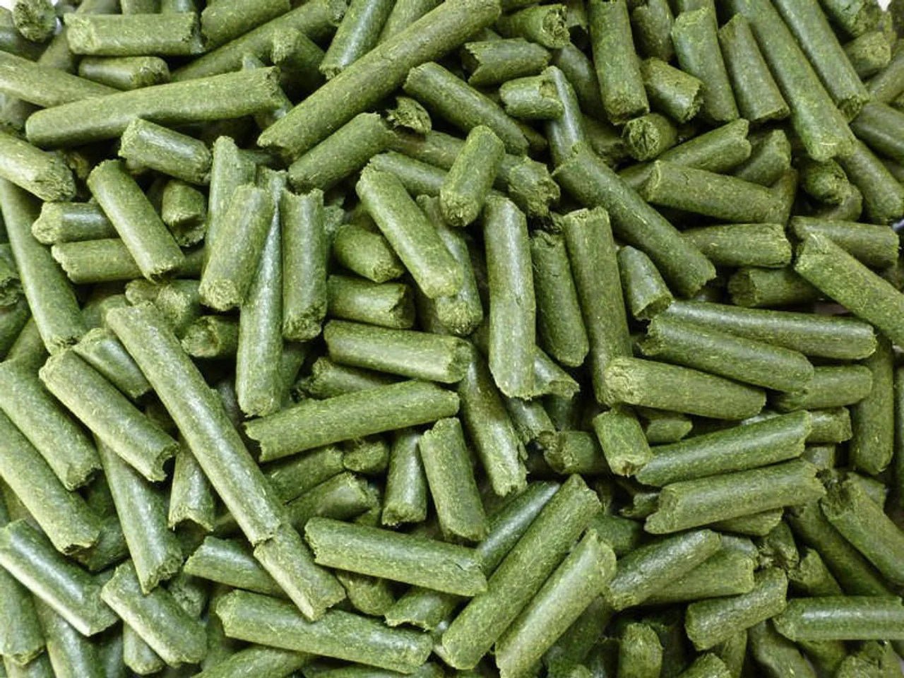 Meadow Grass Pellets – 500g Grazing Bag | Luxury Home Accessories | Heulog Glow