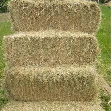 Meadow Hay Bale - North East Pets | Luxury Home Accessories | Heulog Glow