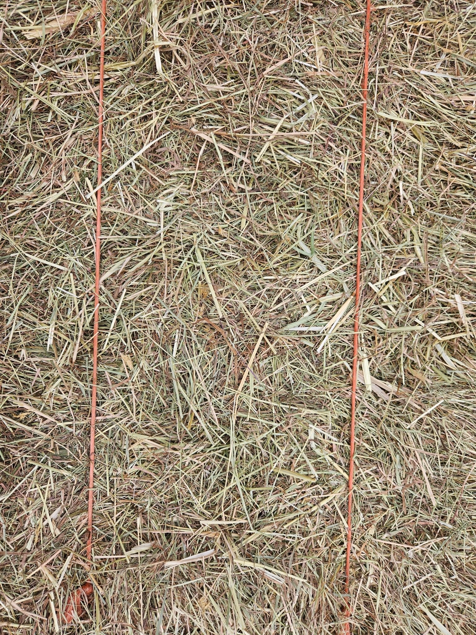 Meadow Hay Bale - North East Pets | Luxury Home Accessories | Heulog Glow