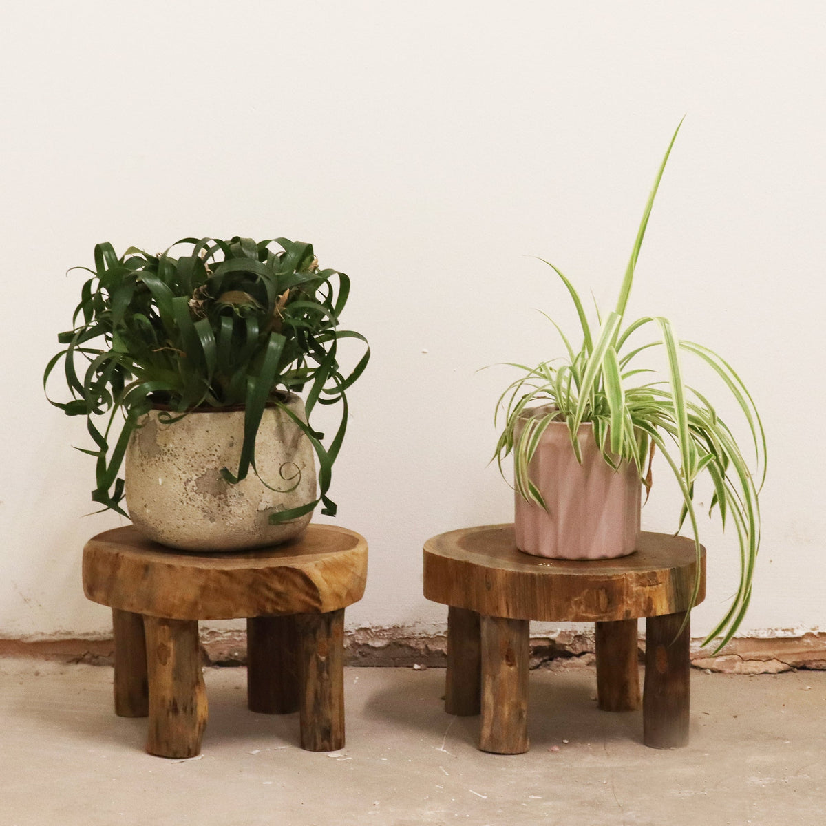 Med Teak Pad Display - 27x15cm | Luxury Home Accessories | Heulog Glow