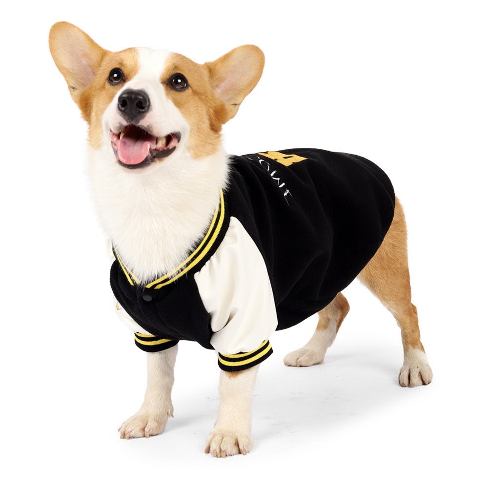 Medium Dog Clothes Baseball Sweater | Luxury Home Accessories | Heulog Glow