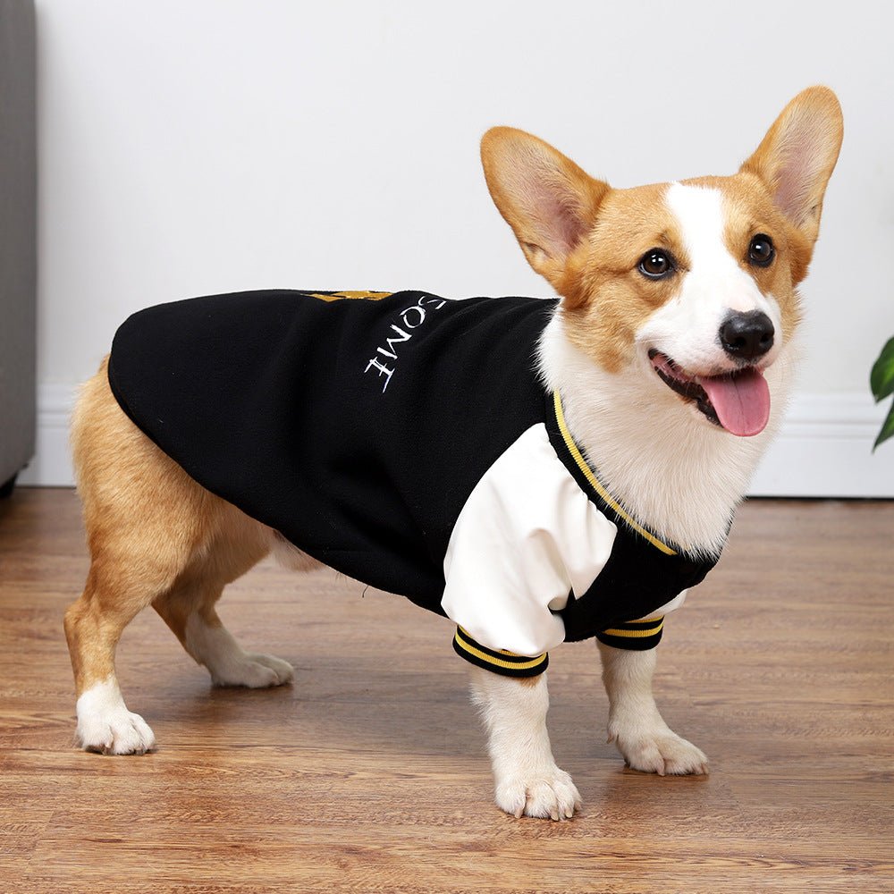 Medium Dog Clothes Baseball Sweater | Luxury Home Accessories | Heulog Glow