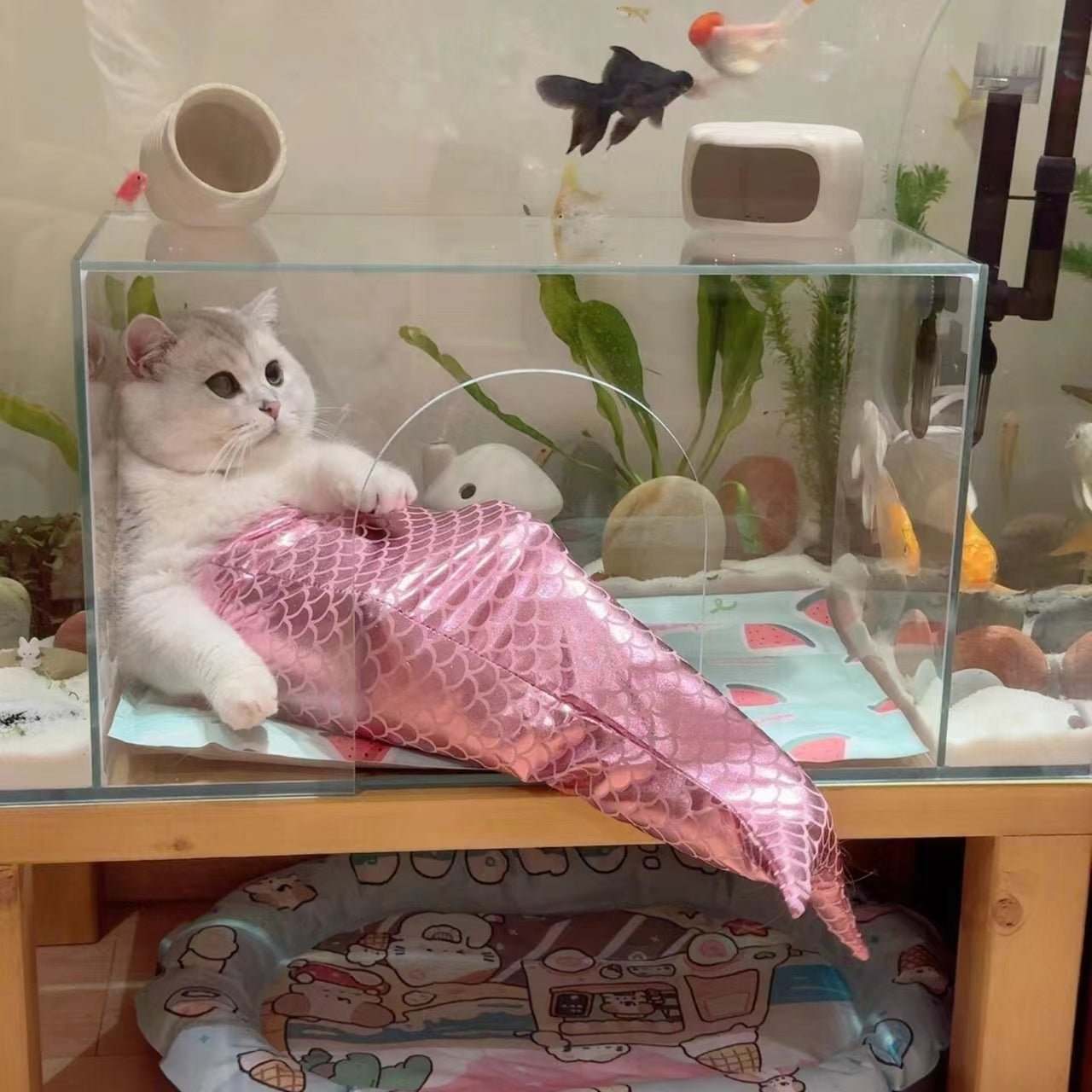 Mermaid Tail Cat Fishtail Decoration | Luxury Home Accessories | Heulog Glow