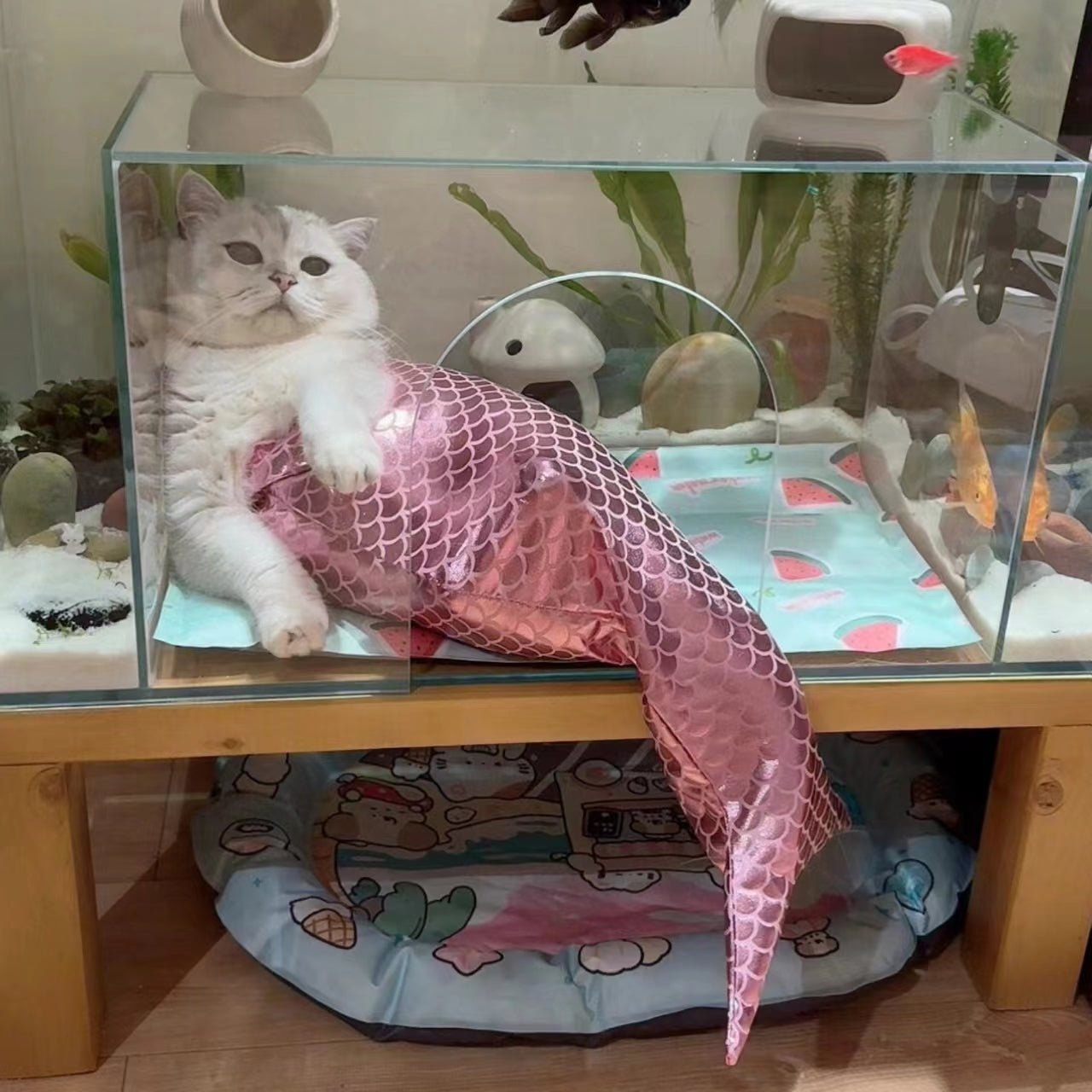 Mermaid Tail Cat Fishtail Decoration | Luxury Home Accessories | Heulog Glow