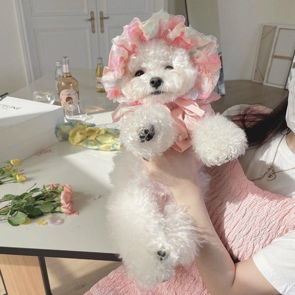 Mesh Bichon Teddy Dog Skirt | Luxury Home Accessories | Heulog Glow