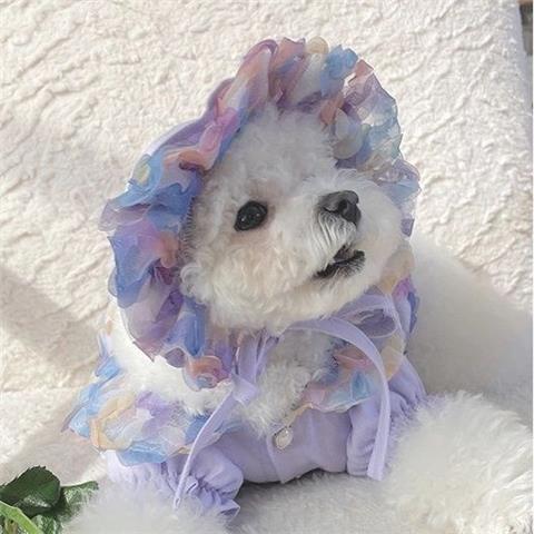 Mesh Bichon Teddy Dog Skirt | Luxury Home Accessories | Heulog Glow