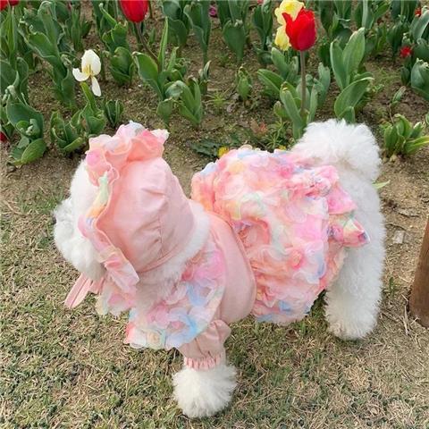 Mesh Bichon Teddy Dog Skirt | Luxury Home Accessories | Heulog Glow
