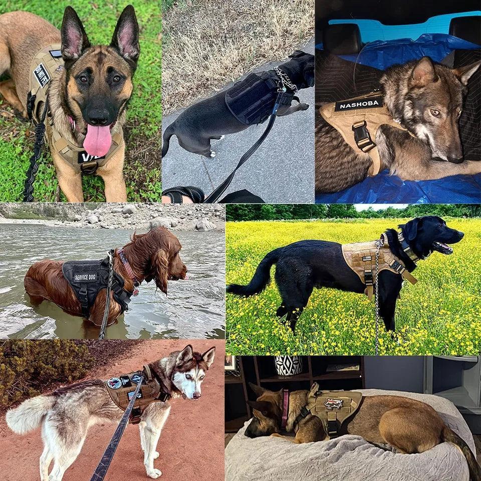 Military Grade Tactical Dog Harness Set | Luxury Home Accessories | Heulog Glow