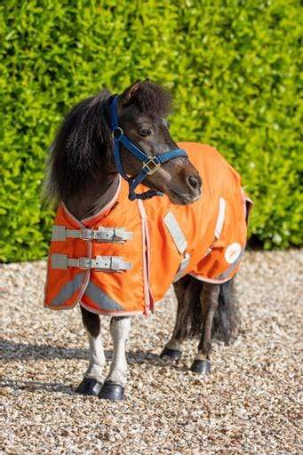 MINI 0g Turnout Rug - Orange | Luxury Home Accessories | Heulog Glow