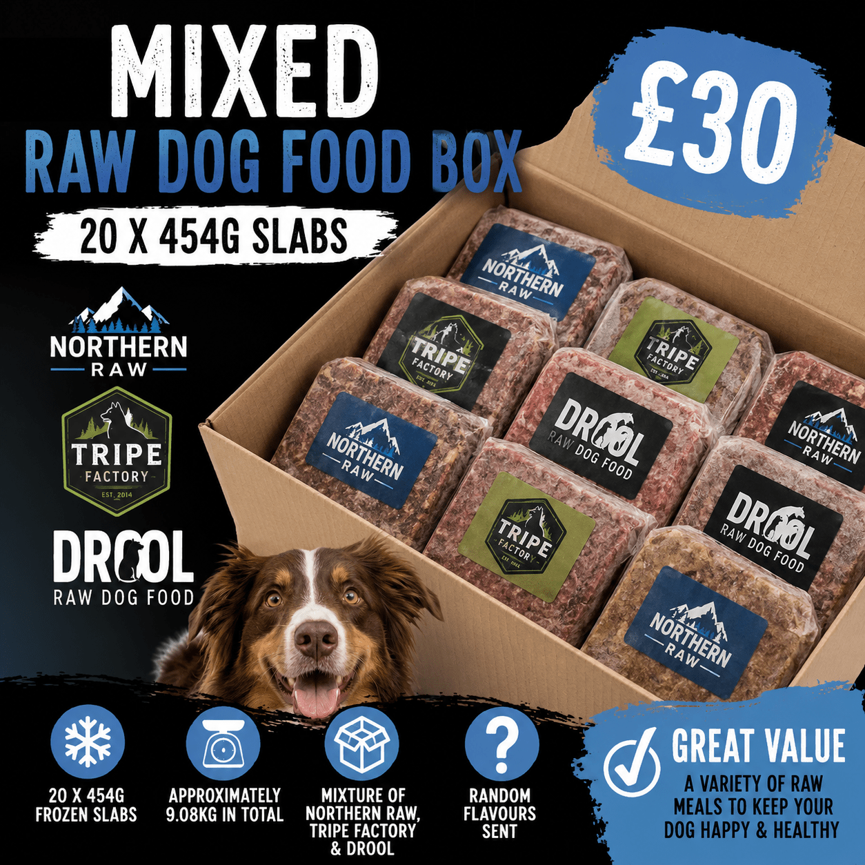 Mixed Raw Dog Food Box – 20 x 454g Slabs | Luxury Home Accessories | Heulog Glow