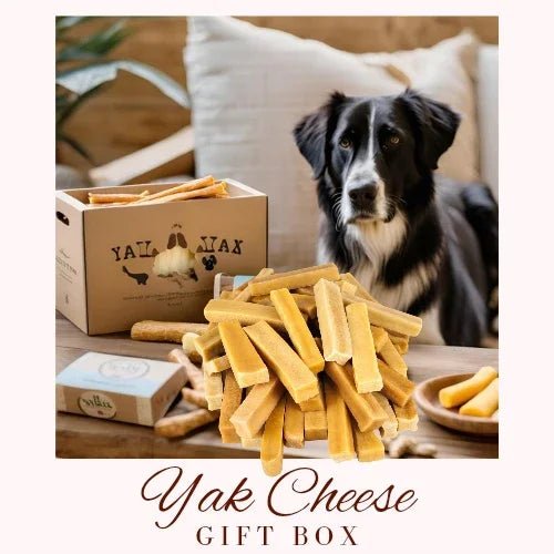 Mixed Yak Cheese Dog Chew Box | Luxury Home Accessories | Heulog Glow