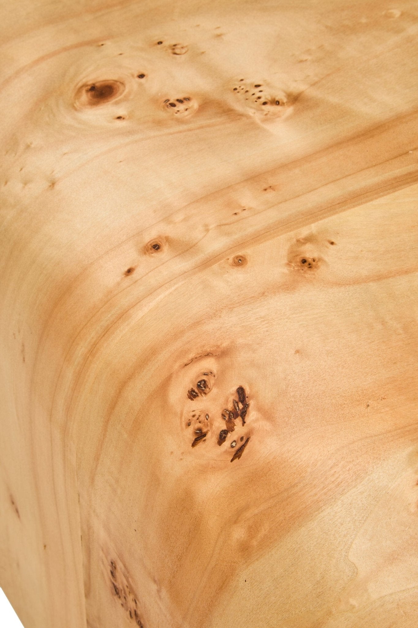 Mota Burl Wood Design Curved Coffee Table | Luxury Home Accessories | Heulog Glow