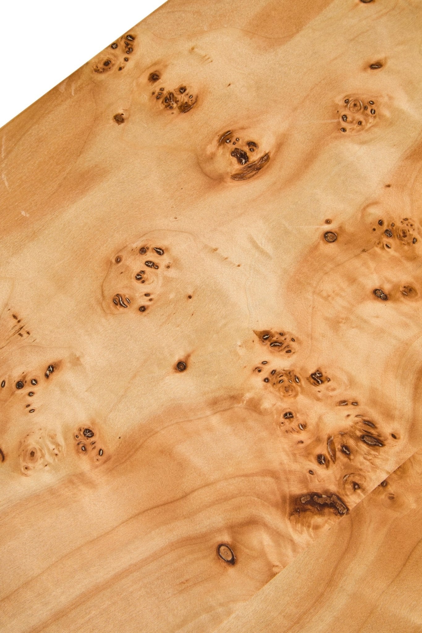 Mota Burl Wood Design Curved Coffee Table | Luxury Home Accessories | Heulog Glow