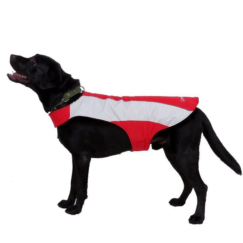 MPet clothes winter clothes big dog clothes night reflective | Luxury Home Accessories | Heulog Glow