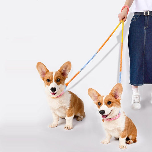 Multi Functional Dual Head Pet Dog Leash | Luxury Home Accessories | Heulog Glow