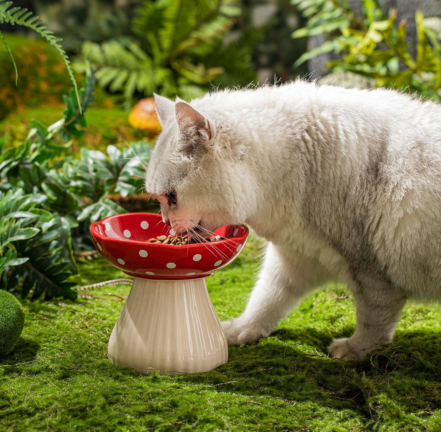 Mushroom Raised Cat Bowl With Cute Polka Dot Design And Safe Ceramic Material For Small Pets | Luxury Home Accessories | Heulog Glow
