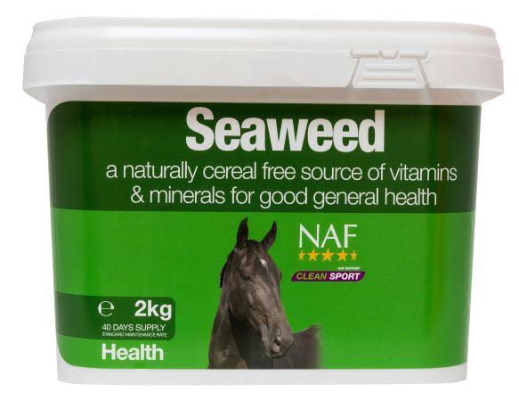 NAF Seaweed | Luxury Home Accessories | Heulog Glow