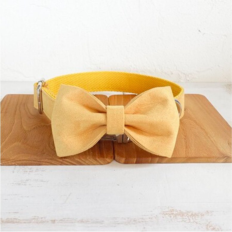 Nala pet dog collar traction rope | Luxury Home Accessories | Heulog Glow