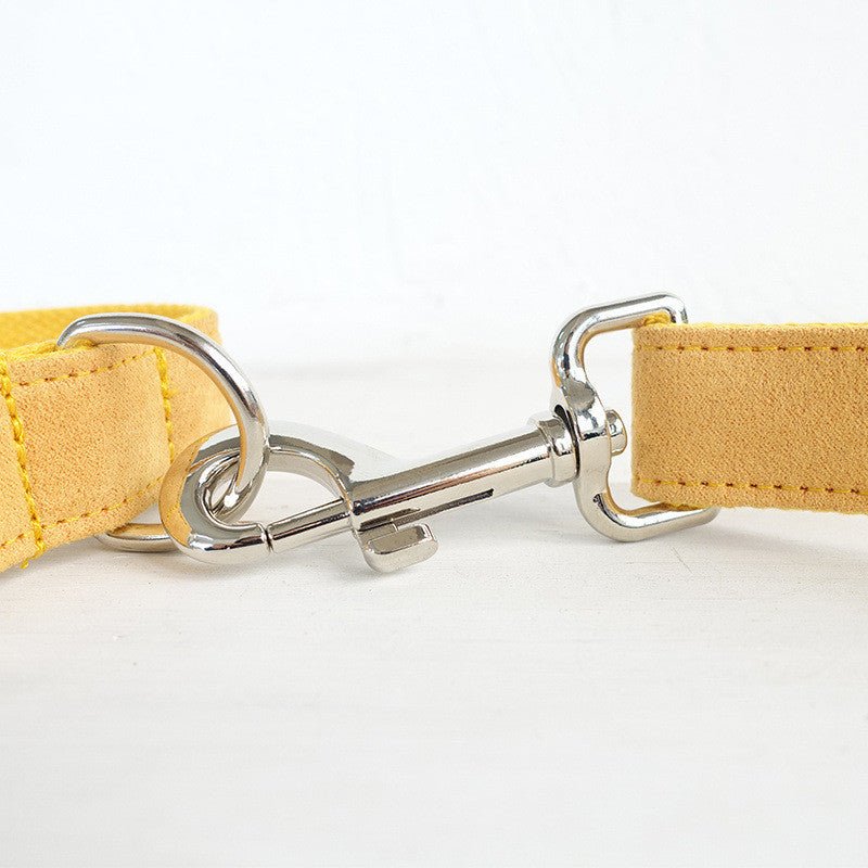 Nala pet dog collar traction rope | Luxury Home Accessories | Heulog Glow