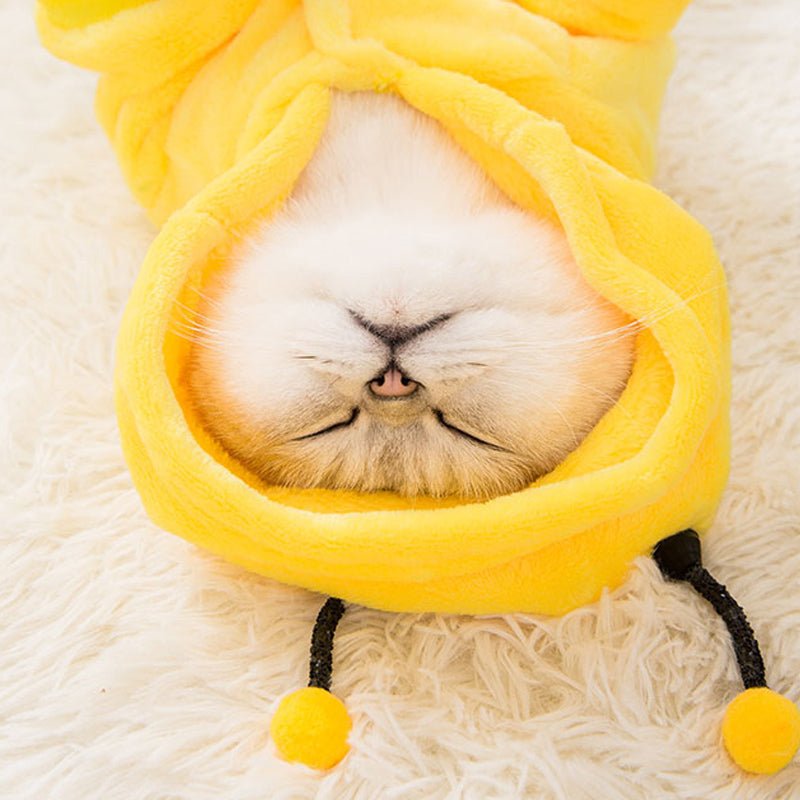 Net red cat disguise small milk cat hairless cat kitten four legged clothes cute cat pet English short autumn winter clothes | Luxury Home Accessories | Heulog Glow