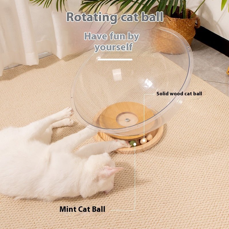 New Cat Space Capsule Bathtub Transparent Acrylic | Luxury Home Accessories | Heulog Glow