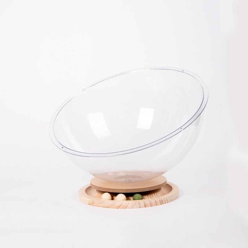 New Cat Space Capsule Bathtub Transparent Acrylic | Luxury Home Accessories | Heulog Glow