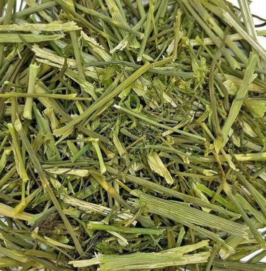 NEW Dill Stalks Grazing Bag - 100% Natural 500g | Luxury Home Accessories | Heulog Glow