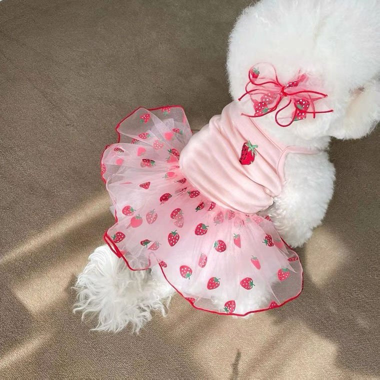New Dog Clothes Cute Mesh Strawberry Strap Dress | Luxury Home Accessories | Heulog Glow