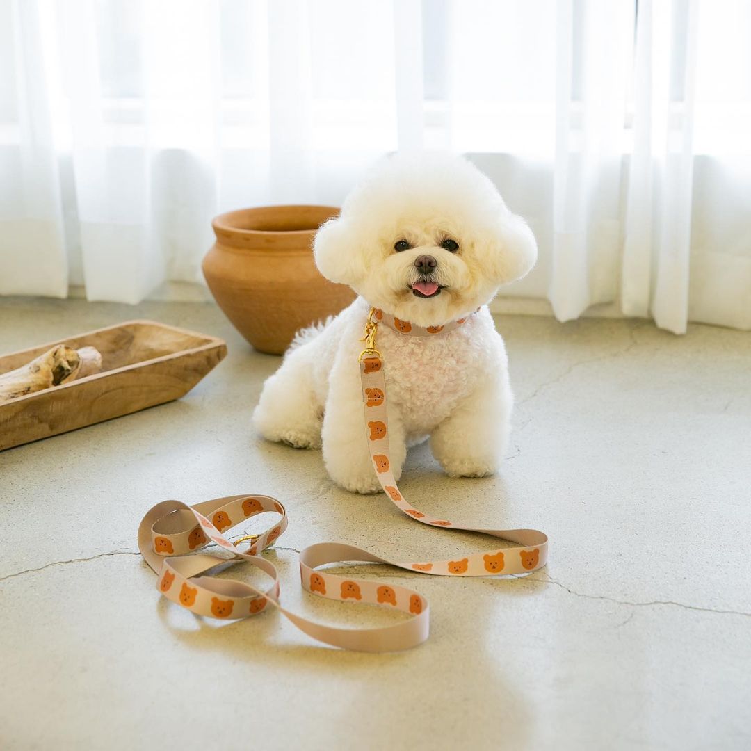 New Dog Pet Bear Cute Traction Soft And Durable Rope | Luxury Home Accessories | Heulog Glow