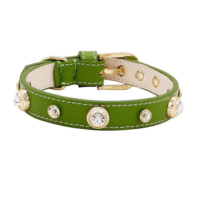 New Hot Sell Leather Pet Collar Multicolor | Luxury Home Accessories | Heulog Glow