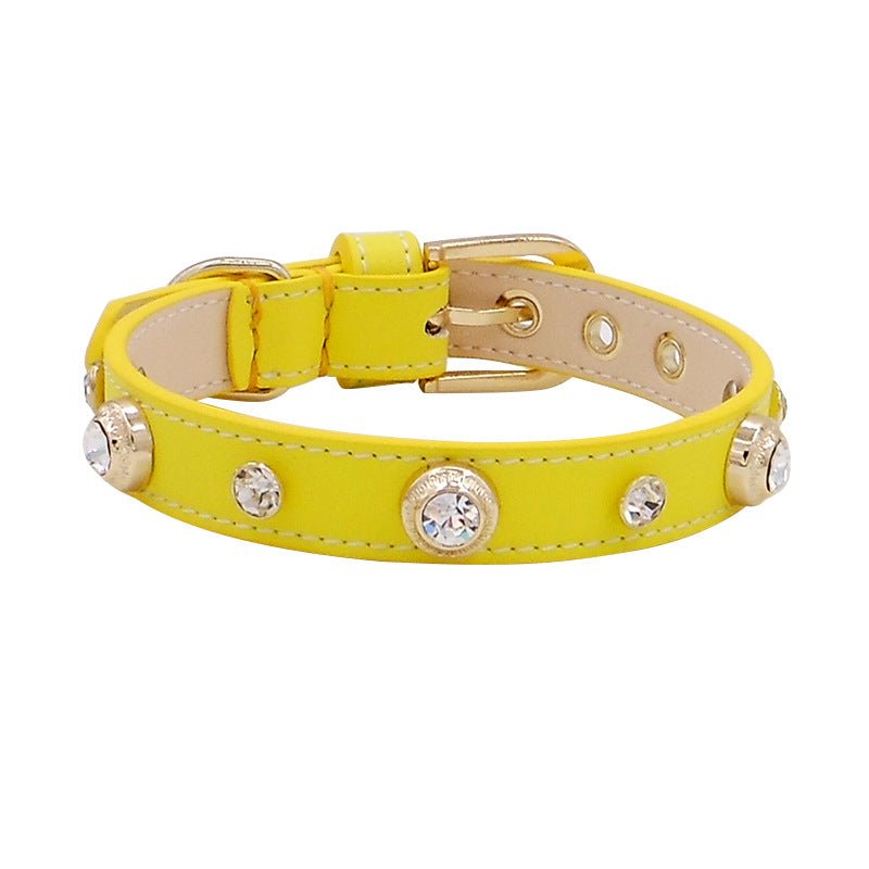 New Hot Sell Leather Pet Collar Multicolor | Luxury Home Accessories | Heulog Glow