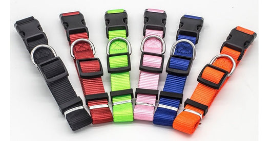 New Pet Collar | Luxury Home Accessories | Heulog Glow
