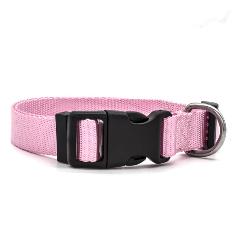 New Pet Collar | Luxury Home Accessories | Heulog Glow