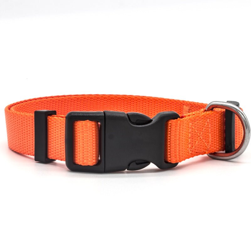 New Pet Collar | Luxury Home Accessories | Heulog Glow