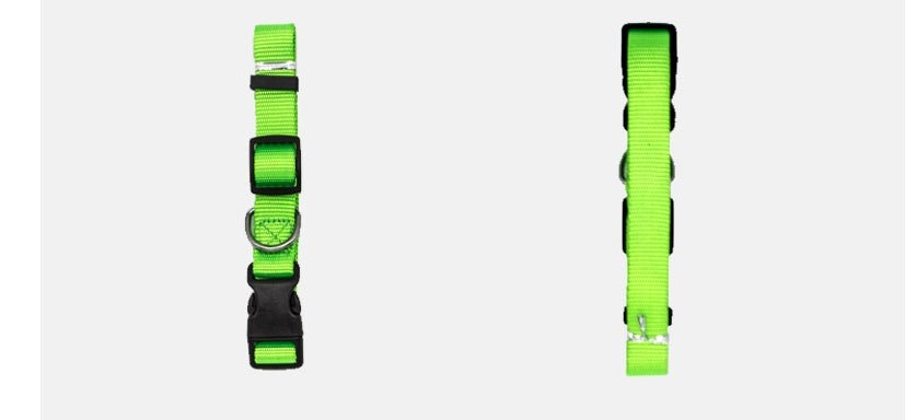 New Pet Collar | Luxury Home Accessories | Heulog Glow