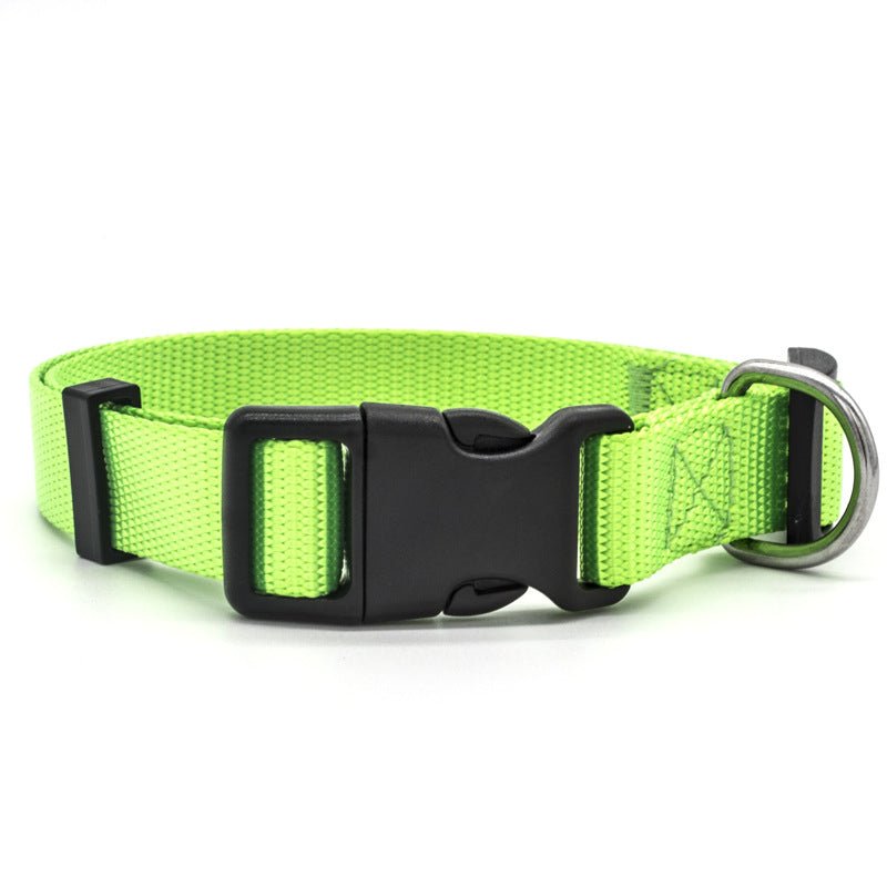 New Pet Collar | Luxury Home Accessories | Heulog Glow