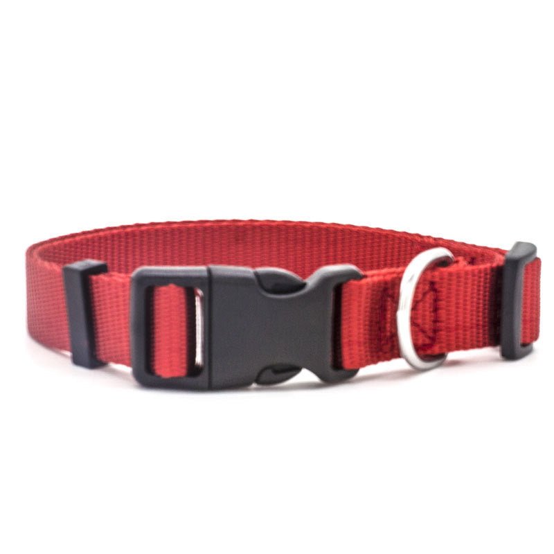 New Pet Collar | Luxury Home Accessories | Heulog Glow