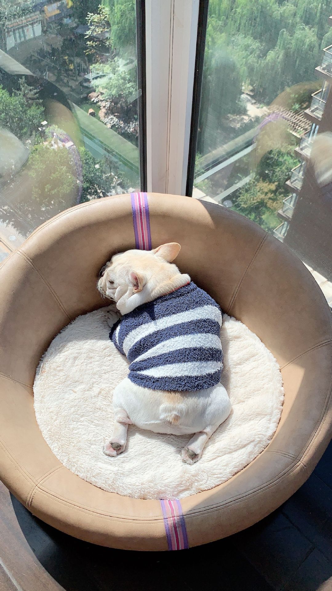 New Pet Dog Clothes Soft Striped Sweater | Luxury Home Accessories | Heulog Glow