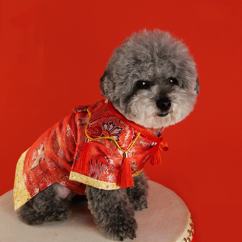 New Pet Hanfu Clothes Dress Gift Box | Luxury Home Accessories | Heulog Glow