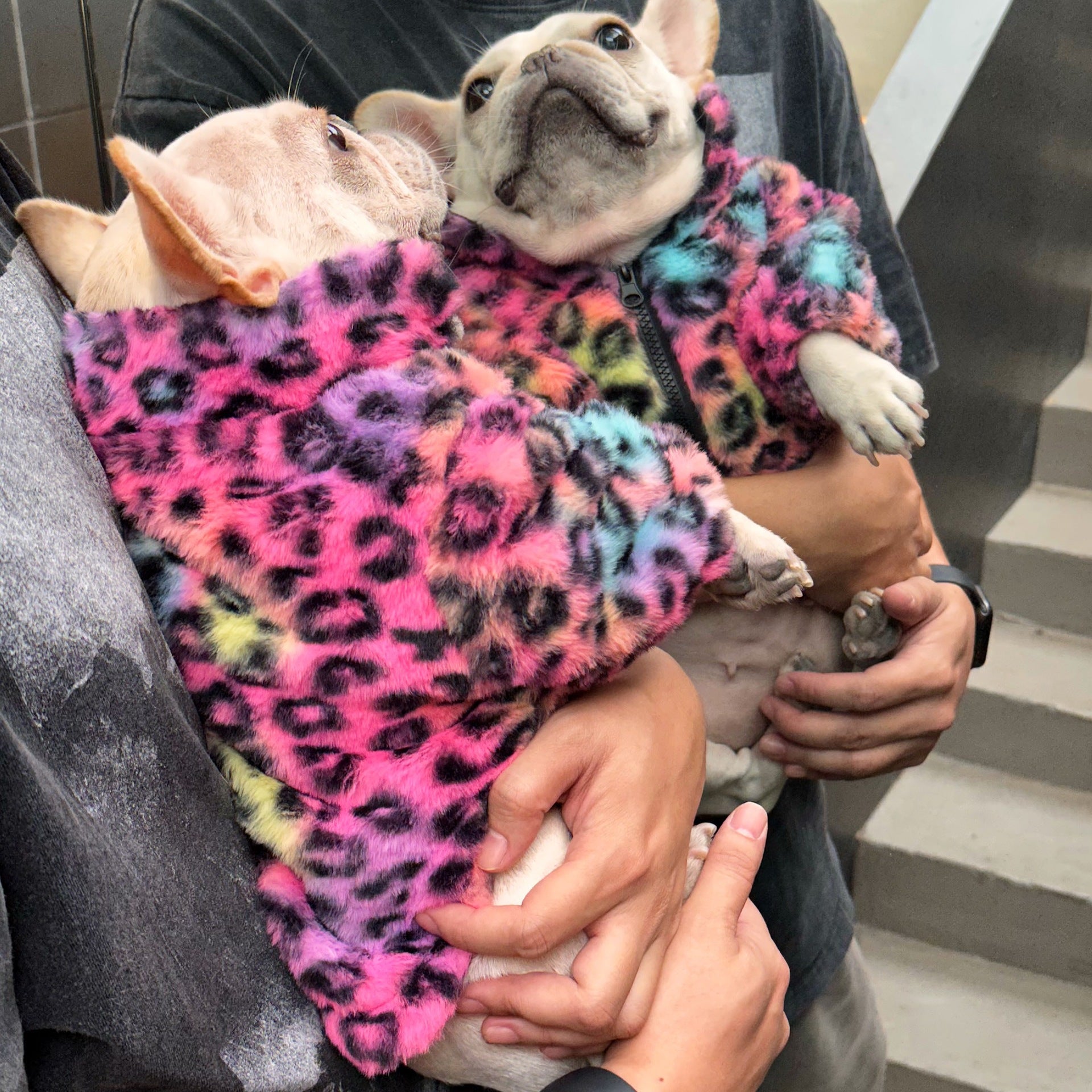 New Style Pet Clothes Colorful Leopard Print Velvet Coat | Luxury Home Accessories | Heulog Glow