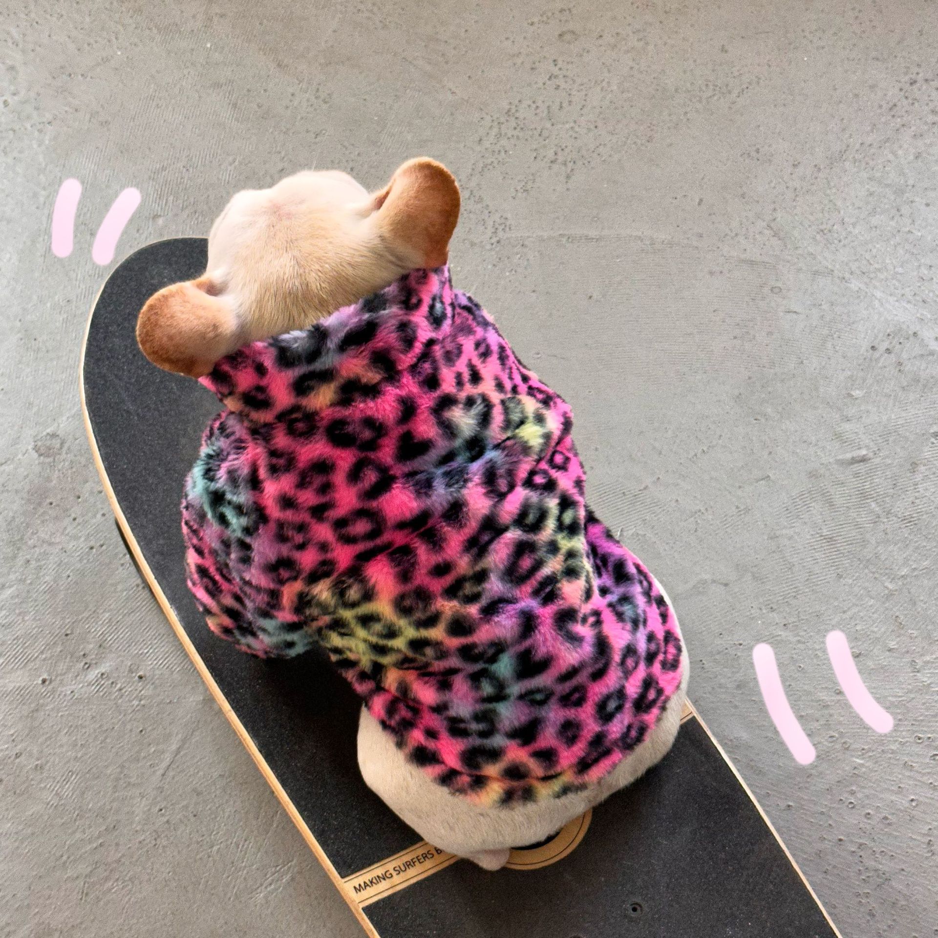 New Style Pet Clothes Colorful Leopard Print Velvet Coat | Luxury Home Accessories | Heulog Glow