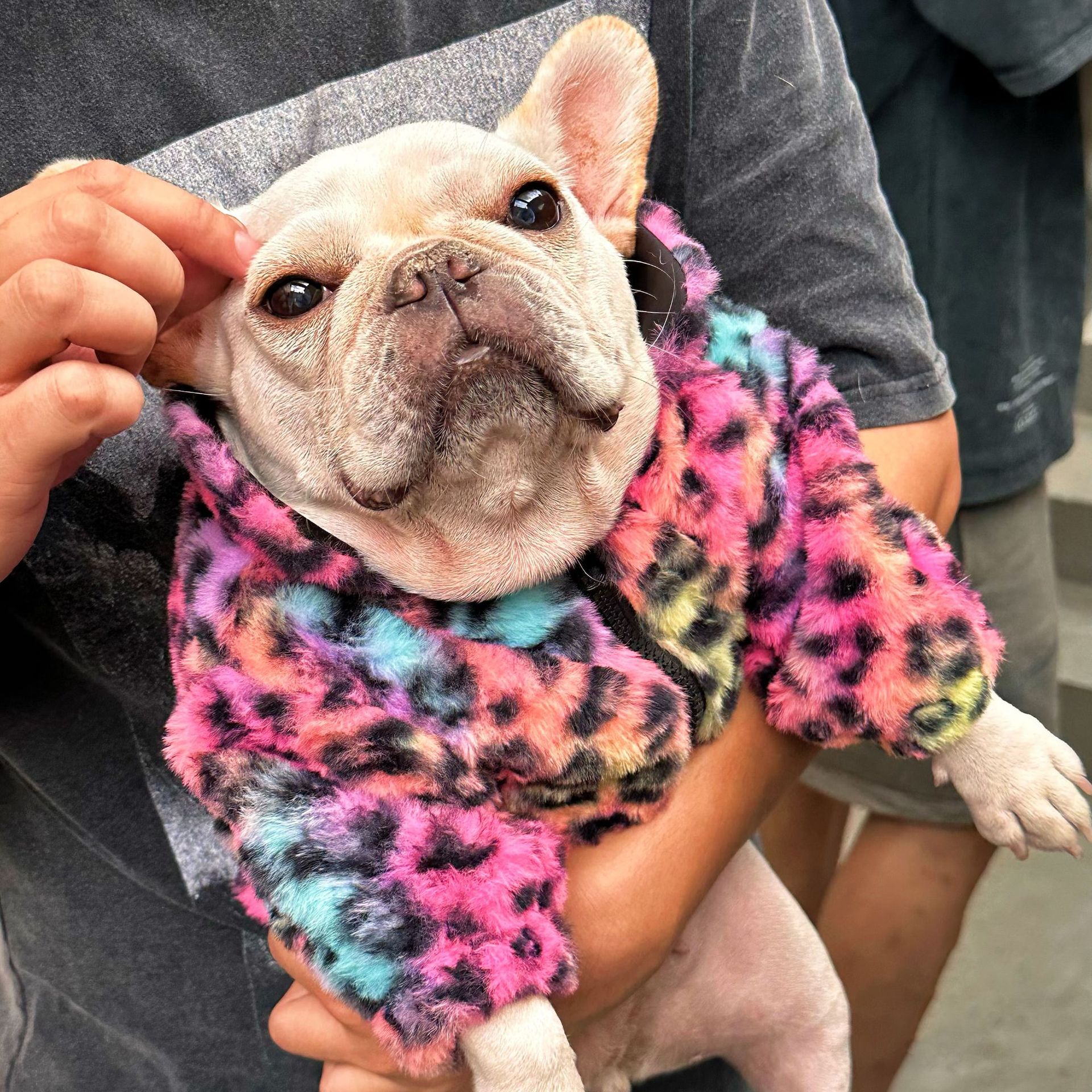 New Style Pet Clothes Colorful Leopard Print Velvet Coat | Luxury Home Accessories | Heulog Glow
